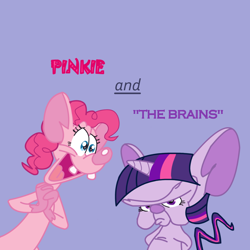 Size: 900x900 | Tagged: safe, artist:pantouflard, derpibooru import, pinkie pie, twilight sparkle, earth pony, pony, crossover, pinky and the brain