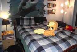 Size: 4000x2664 | Tagged: safe, artist:venom2204, applejack, earth pony, pony, shark, bed, blanket, irl, lamp, photo, picture, ponies in real life, prone, smiling, solo, table, vector