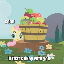 Size: 565x561 | Tagged: safe, edit, edited screencap, screencap, fluttershy, pegasus, pony, swarm of the century, apple, bucket, cropped, food, image macro, solo, soon