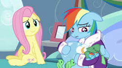 Size: 300x168 | Tagged: safe, derpibooru import, screencap, fluttershy, rainbow dash, tank, pegasus, pony, tortoise, turtle, tanks for the memories, bathrobe, clothes, crying, cute, dashabetes, dashie slippers, female, floppy ears, mare, misleading thumbnail, robe, sadorable, shyabetes, sitting, slippers, smiling, tank slippers