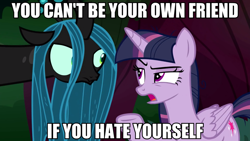 Size: 1920x1080 | Tagged: safe, artist:dwk, edit, edited screencap, screencap, mean twilight sparkle, queen chrysalis, twilight sparkle, twilight sparkle (alicorn), alicorn, changeling, changeling queen, the mean 6, caption, clone, female, image macro, text, totally legit recap