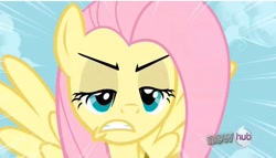 Size: 823x471 | Tagged: safe, screencap, fluttershy, pegasus, pony, keep calm and flutter on, angry, frown, glare, gritted teeth, solo, spread wings