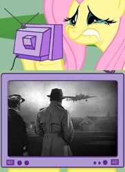 Size: 498x685 | Tagged: safe, fluttershy, pegasus, pony, aircraft, casablanca, exploitable meme, fluttercry, louis renault, meme, plane, rick blaine, tv meme