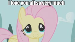 Size: 853x480 | Tagged: safe, fluttershy, pegasus, pony, female, image macro, mare, pink mane, yellow coat