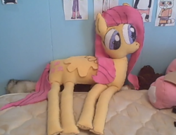 Size: 864x659 | Tagged: safe, artist:plushbuddies, fluttershy, flat, flottorshoy, irl, photo, plushie