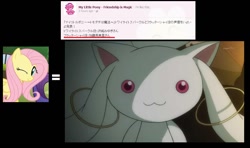 Size: 1114x658 | Tagged: safe, fluttershy, rarity, incubator (species), pegasus, pony, unicorn, emiri katou, exploitable meme, japan, japanese, kyubey, meme, meta, puella magi madoka magica, same voice actor, voice actor