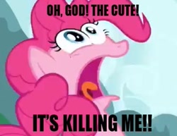Size: 345x266 | Tagged: safe, pinkie pie, earth pony, pony, cute, female, image macro, mare, pink coat, pink mane, solo