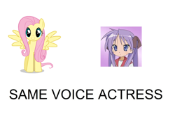 Size: 900x592 | Tagged: safe, fluttershy, pegasus, pony, emiri katou, exploitable meme, hiiragi kagami, japanese, lucky star, same voice actor