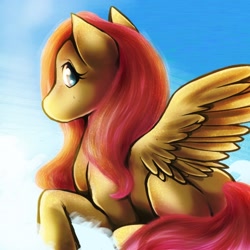 Size: 1000x1000 | Tagged: safe, artist:poppis90, fluttershy, pegasus, pony, cloud, female, mare, pink mane, yellow coat