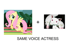 Size: 1250x760 | Tagged: safe, fluttershy, incubator (species), pegasus, pony, emiri katou, exploitable meme, japanese, kyubey, puella magi madoka magica, same voice actor