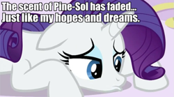 Size: 823x458 | Tagged: safe, rarity, pony, unicorn, female, horn, image macro, mare, solo, white coat