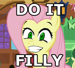 Size: 364x330 | Tagged: safe, edit, edited screencap, screencap, fluttershy, pegasus, pony, stare master, do it, do it faggot, do it filly, face, image macro, reaction image