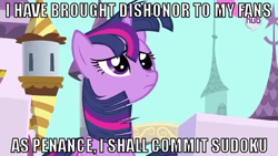 Size: 640x360 | Tagged: safe, derpibooru import, twilight sparkle, commit sudoku, image macro, sad, sudoku