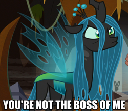 Size: 704x615 | Tagged: safe, edit, edited screencap, screencap, grogar, queen chrysalis, changeling, changeling queen, pony, the beginning of the end, baby talk, brat, burn, caption, cropped, cute, cutealis, dialogue, dork, dorkalis, faic, female, floppy ears, frown, image macro, immature, intimidating, looking at you, looking up, madorable, mare, menacing, pouting, queen chrysalis is not amused, reaction image, savage, silly, silly pony, solo focus, spoiled, text, unamused, whining, your argument is invalid