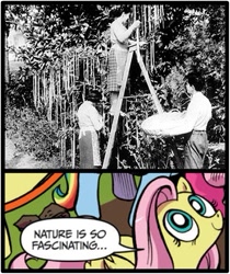 Size: 397x473 | Tagged: safe, fluttershy, human, pegasus, pony, april fools, blue coat, blue eyes, dialogue, exploitable meme, female, looking up, mare, meme, multicolored tail, nature is so fascinating, pink coat, pink mane, smiling, spaghetti, spaghetti tree hoax, speech bubble, wings, yellow coat