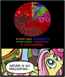 Size: 397x473 | Tagged: safe, artist:scythemantis, fluttershy, pegasus, pony, blue coat, blue eyes, bogleech, dialogue, exploitable meme, female, looking up, mare, meme, multicolored tail, nature is so fascinating, pink coat, pink mane, smiling, speech bubble, wings, yellow coat