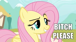 Size: 1000x563 | Tagged: safe, fluttershy, pegasus, pony, bedroom eyes, bitch please, dreamworks face, image macro, smiling, vulgar