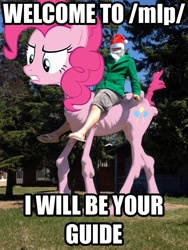 Size: 720x960 | Tagged: safe, pinkie pie, human, /mlp/, image macro, irl, irl human, photo, santa claus, wat