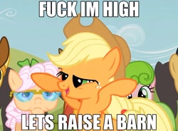 Size: 1325x973 | Tagged: safe, edit, edited screencap, screencap, apple rose, applejack, braeburn, red gala, earth pony, pony, apple family reunion, apple family member, fuck i'm high, high, image macro, lidded eyes, mid-blink screencap, raised hooves, solo focus, vulgar