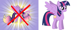 Size: 1800x695 | Tagged: safe, derpibooru import, twilight sparkle, twilight sparkle (alicorn), alicorn, pony, female, mare, meta, speculation