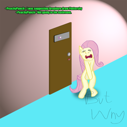 Size: 1080x1080 | Tagged: safe, artist:koribaka, fluttershy, pegasus, pony, bipedal, but why, desperation, dialogue, door, need to pee, omorashi, potty dance, potty emergency, potty time, text, trotting in place