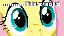 Size: 1152x648 | Tagged: safe, fluttershy, pegasus, pony, bronybait, eyes, hypnosis, hypnosis ponies, image macro, meme, stare