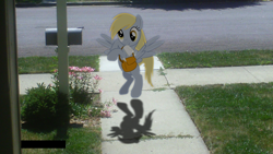 Size: 1024x576 | Tagged: safe, artist:goldenponyz, derpy hooves, pegasus, pony, female, irl, mare, photo, ponies in real life, solo