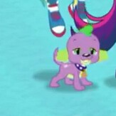 Size: 163x163 | Tagged: safe, derpibooru import, screencap, rainbow dash, sci-twi, spike, spike the regular dog, twilight sparkle, dog, better together, equestria girls, converse, cropped, looking at you, lowres, male, puppy, shoes, smiling