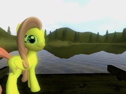 Size: 1024x768 | Tagged: safe, artist:hano, fluttershy, pegasus, pony, 3d, gmod, island, looking at you, water