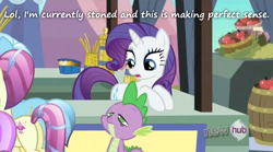 Size: 764x426 | Tagged: safe, edit, edited screencap, screencap, rarity, spike, dragon, pony, unicorn, the crystal empire, hub logo, insane pony thread, stoned, stoner spike, tumblr