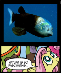 Size: 398x472 | Tagged: safe, fluttershy, fish, pegasus, pony, barreleye fish, blue coat, blue eyes, dialogue, exploitable meme, female, looking up, mare, meme, multicolored tail, nature is so fascinating, pink coat, pink mane, smiling, speech bubble, wings, yellow coat