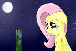 Size: 6000x4000 | Tagged: safe, artist:broniesover9000, fluttershy, pegasus, pony, female, grave, mare, sad