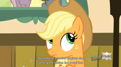 Size: 846x470 | Tagged: safe, screencap, applejack, earth pony, pony, apple family reunion, female, mare, youtube caption