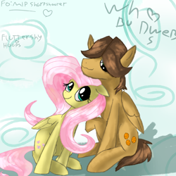 Size: 2000x2000 | Tagged: safe, artist:shippinghadre, fluttershy, hoops, pegasus, pony, female, hoopshy, male, shipping, straight