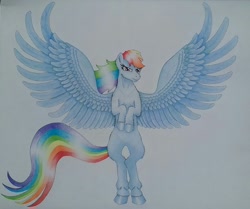 Size: 1724x1440 | Tagged: safe, artist:maximustimaeus, derpibooru import, rainbow dash, pegasus, pony, bipedal, solo, spread wings, traditional art, wings