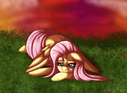 Size: 942x688 | Tagged: safe, artist:daikaluff, fluttershy, pegasus, pony, female, lying down, mare, solo