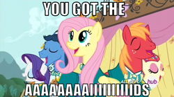 Size: 888x498 | Tagged: safe, screencap, big macintosh, fluttershy, rarity, toe-tapper, torch song, earth pony, pegasus, pony, unicorn, filli vanilli, aids, family guy, hiv, hub logo, image macro, male, meme, ponytones, song in the comments, stallion