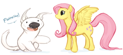 Size: 1280x580 | Tagged: safe, fluttershy, lamia, original species, pegasus, pony, ask little naga, crossover, polar bear dog, the legend of korra