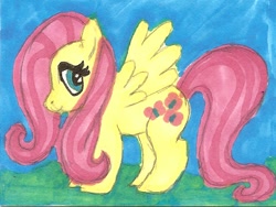 Size: 664x498 | Tagged: safe, artist:darkzephyrmoon, fluttershy, pegasus, pony, female, mare, solo, traditional art