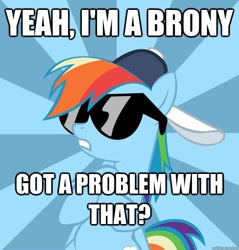 Size: 625x654 | Tagged: safe, derpibooru import, rainbow dash, pegasus, pony, brony, brony pride, hat, image macro, meme, sunglasses