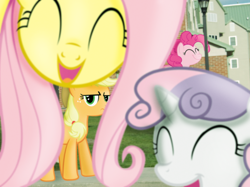 Size: 1024x764 | Tagged: safe, applejack, fluttershy, pinkie pie, sweetie belle, irl, photo, photobomb, ponies in real life