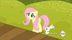 Size: 1920x1080 | Tagged: safe, screencap, angel bunny, fluttershy, pegasus, pony, filli vanilli, female, mare