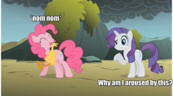 Size: 972x540 | Tagged: safe, edit, edited screencap, screencap, pinkie pie, rarity, earth pony, pony, unicorn, dragonshy, aroused, duo, eyes closed, image macro, implied lesbian, implied raripie, implied shipping, looking at you, meme, mouth hold, nom, raised eyebrow, rubber chicken, shrug, smiling