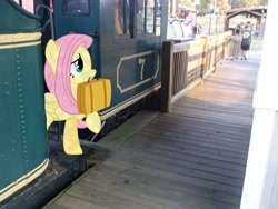 Size: 2592x1944 | Tagged: safe, artist:bobthelurker, artist:techrainbow, artist:tokkazutara1164, fluttershy, human, irl, luggage, mouth hold, photo, ponies in real life, solo, train, train station, vector