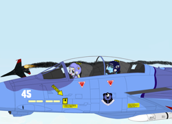 Size: 2000x1450 | Tagged: safe, artist:lonewolf3878, derpy hooves, rainbow dash, pegasus, pony, aircraft, combat, f-14 tomcat, female, legion of discord, mare, new lunar republic, pilot, su-27, warplane