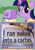 Size: 564x800 | Tagged: safe, derpibooru import, twilight sparkle, twilight sparkle (alicorn), alicorn, pony, cactus, exploitable meme, female, mare, meme, newspaper, obligatory pony, ouch, tabloid, tv meme, twiface