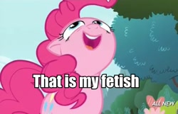 Size: 960x617 | Tagged: safe, pinkie pie, earth pony, pony, filli vanilli, image macro, meme, solo, that is my fetish