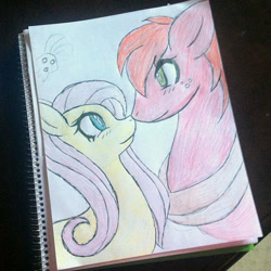 Size: 640x640 | Tagged: safe, angel bunny, big macintosh, fluttershy, earth pony, pegasus, pony, fluttermac, male, shipping, sketch, stallion, straight, traditional art