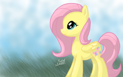 Size: 640x400 | Tagged: safe, artist:fadedsketch, fluttershy, pegasus, pony, female, mare, pink mane, solo, yellow coat