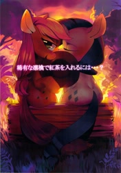 Size: 2147x3043 | Tagged: safe, artist:aruurara, applejack, rarity, earth pony, pony, unicorn, doujin, female, hat, implied kissing, japanese, lesbian, log, plot, rarijack, shipping